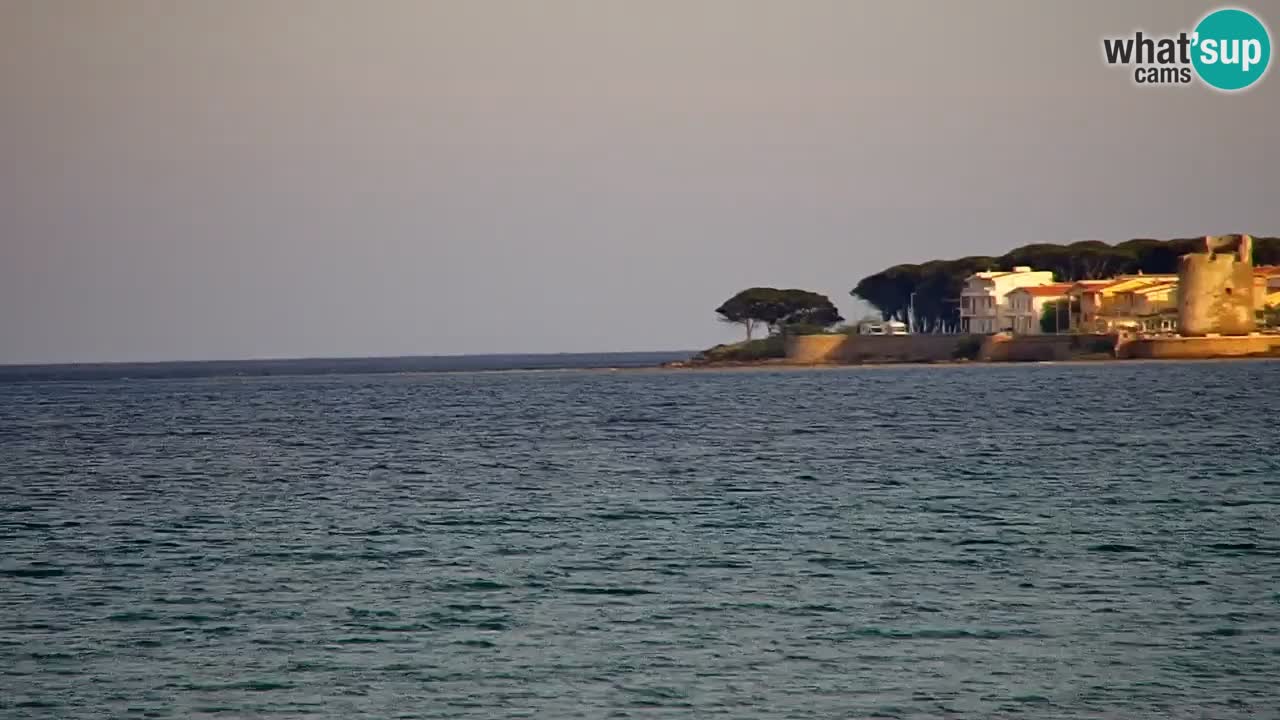 Webcam en vivo Playa La Caletta – Budoni – Cerdeña – Italia