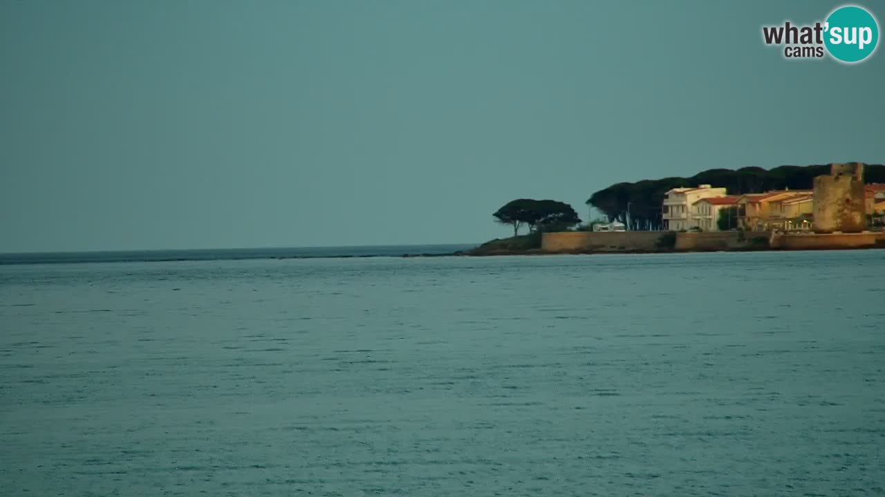 Webcam en direct Plage de La Caletta – Budoni – Sardaigne – Italie