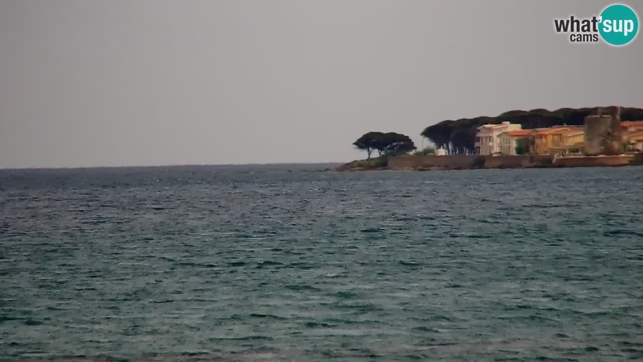 Webcam en vivo Playa La Caletta – Budoni – Cerdeña – Italia