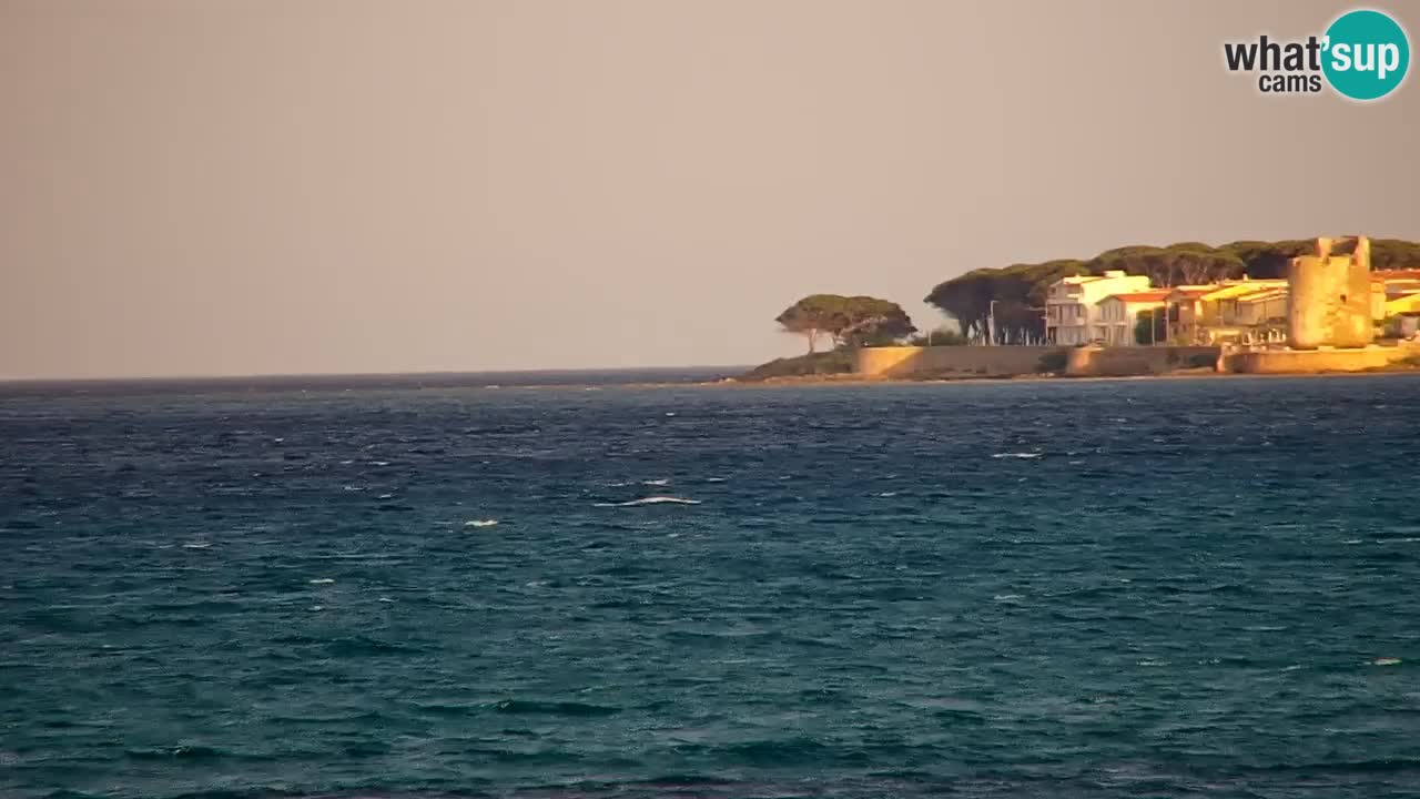 Live webcam La Caletta beach – Budoni – Sardinia – Italy