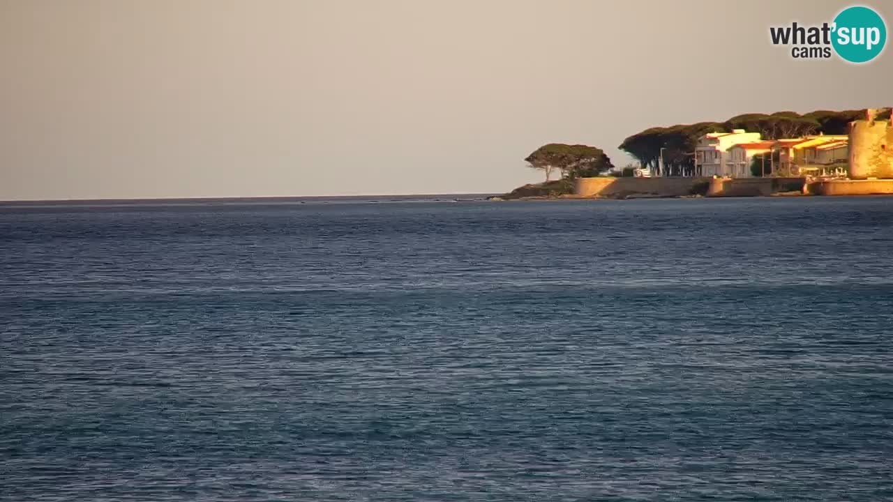 Webcam en vivo Playa La Caletta – Budoni – Cerdeña – Italia
