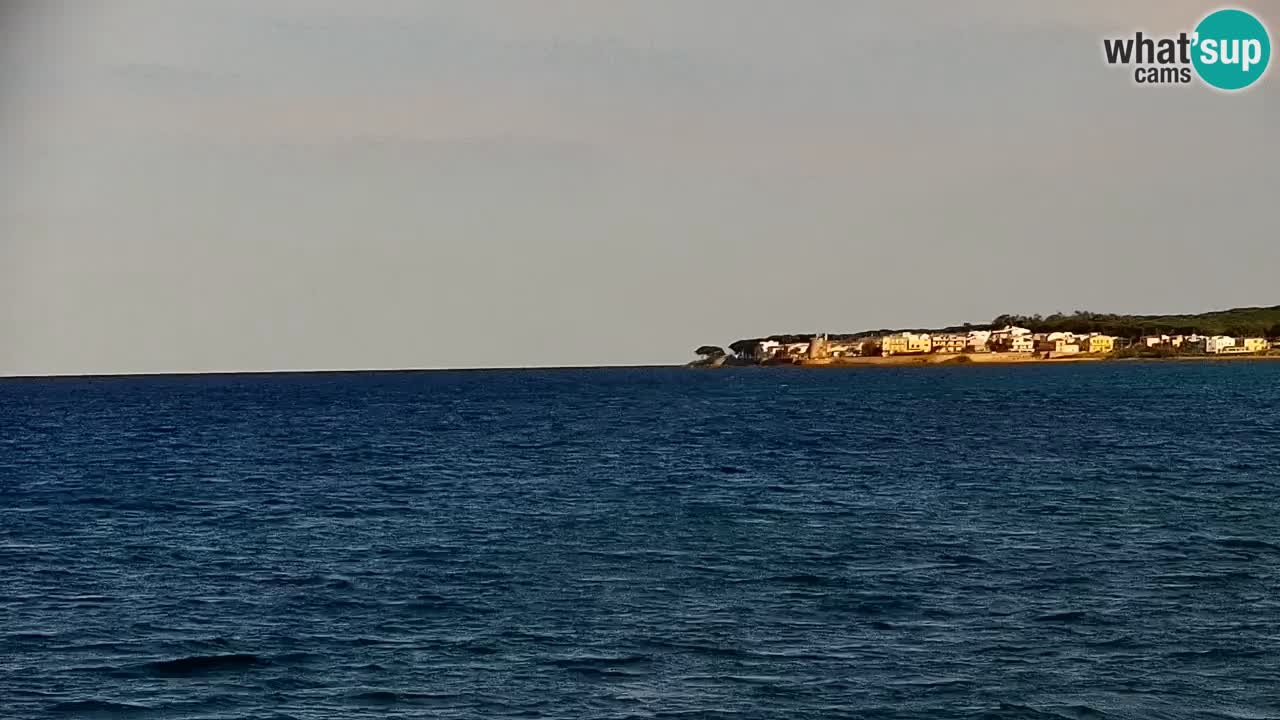 Spletna kamera v živo Plaža La Caletta – Budoni – Sardinija – Italija