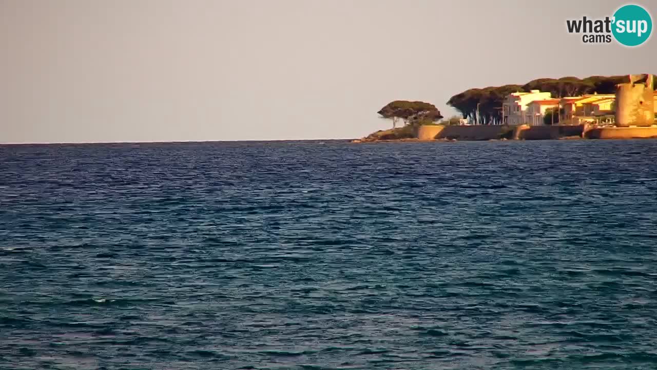 Webcam en direct Plage de La Caletta – Budoni – Sardaigne – Italie