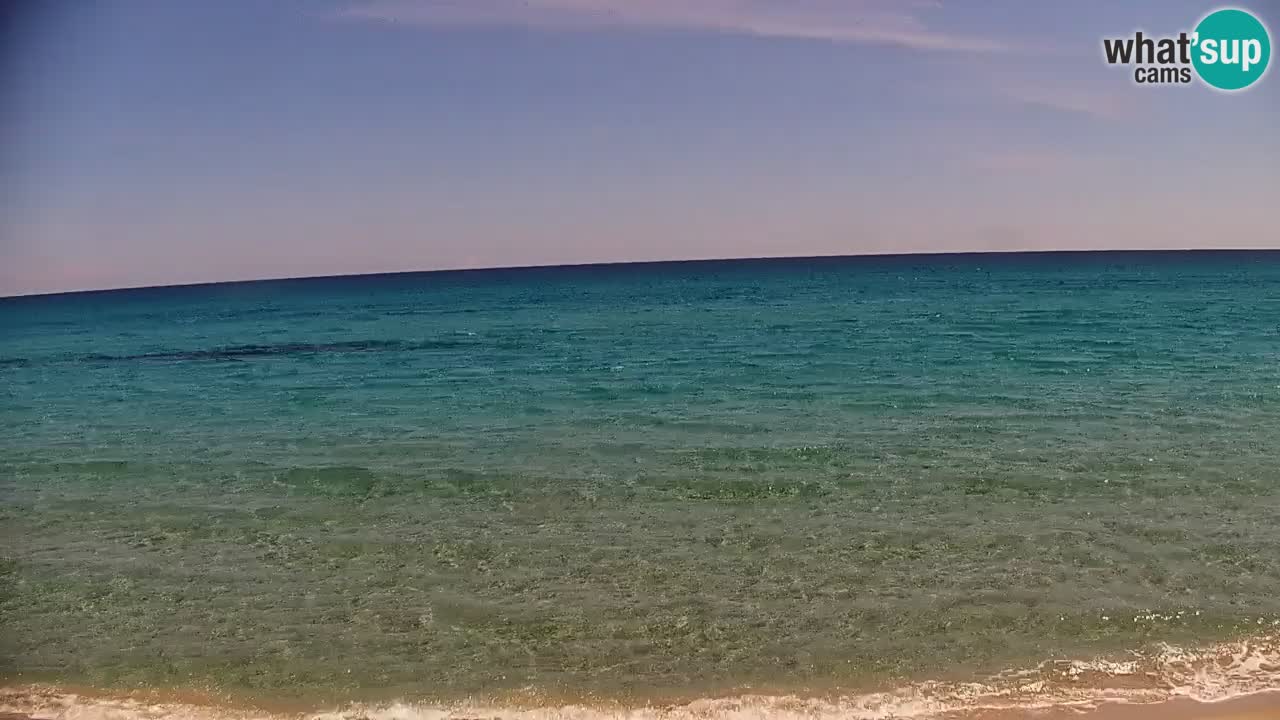 Webcam en direct Plage de La Caletta – Budoni – Sardaigne – Italie