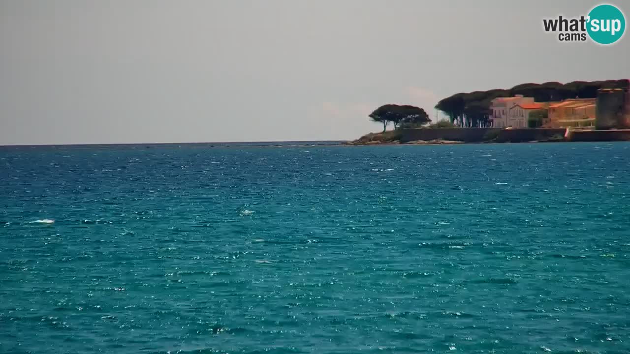 Live webcam La Caletta beach – Budoni – Sardinia – Italy