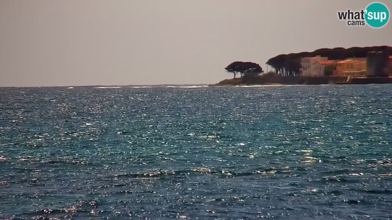 Web kamera uživo La Caletta plaža – Budoni – Sardinija – Italija
