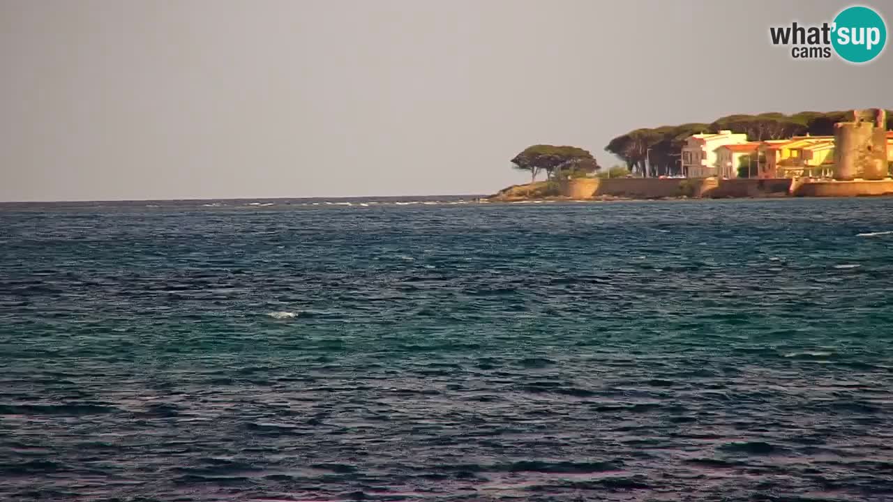 Live webcam Spiaggia La Caletta – Budoni – Sardegna