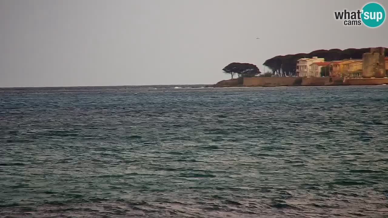 Web kamera uživo La Caletta plaža – Budoni – Sardinija – Italija