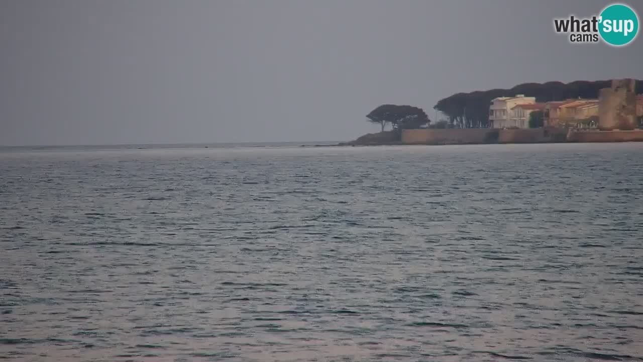 Webcam en vivo Playa La Caletta – Budoni – Cerdeña – Italia