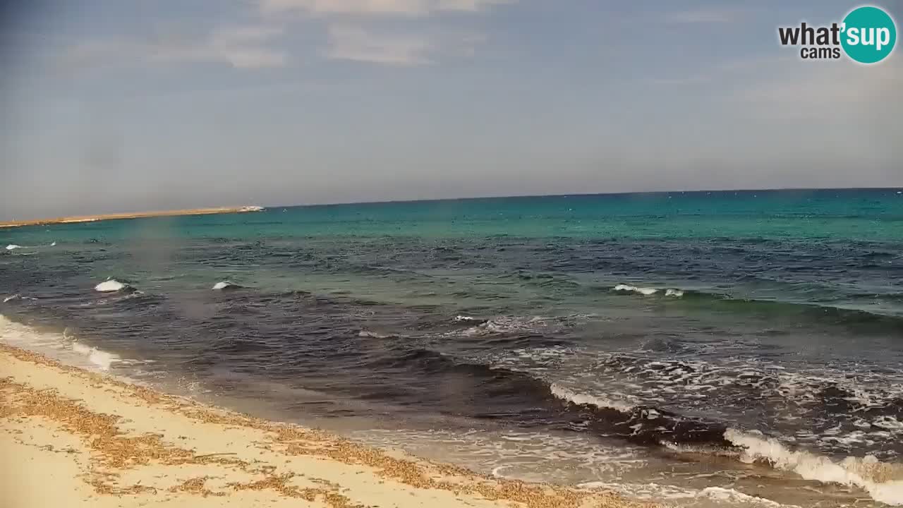Webcam en direct Plage de La Caletta – Budoni – Sardaigne – Italie