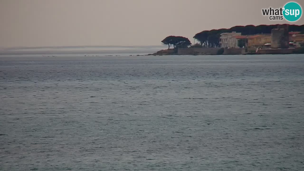 Live webcam La Caletta beach – Budoni – Sardinia – Italy