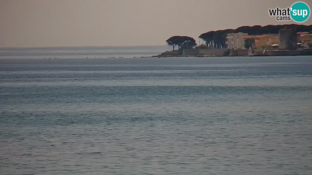 Webcam en direct Plage de La Caletta – Budoni – Sardaigne – Italie