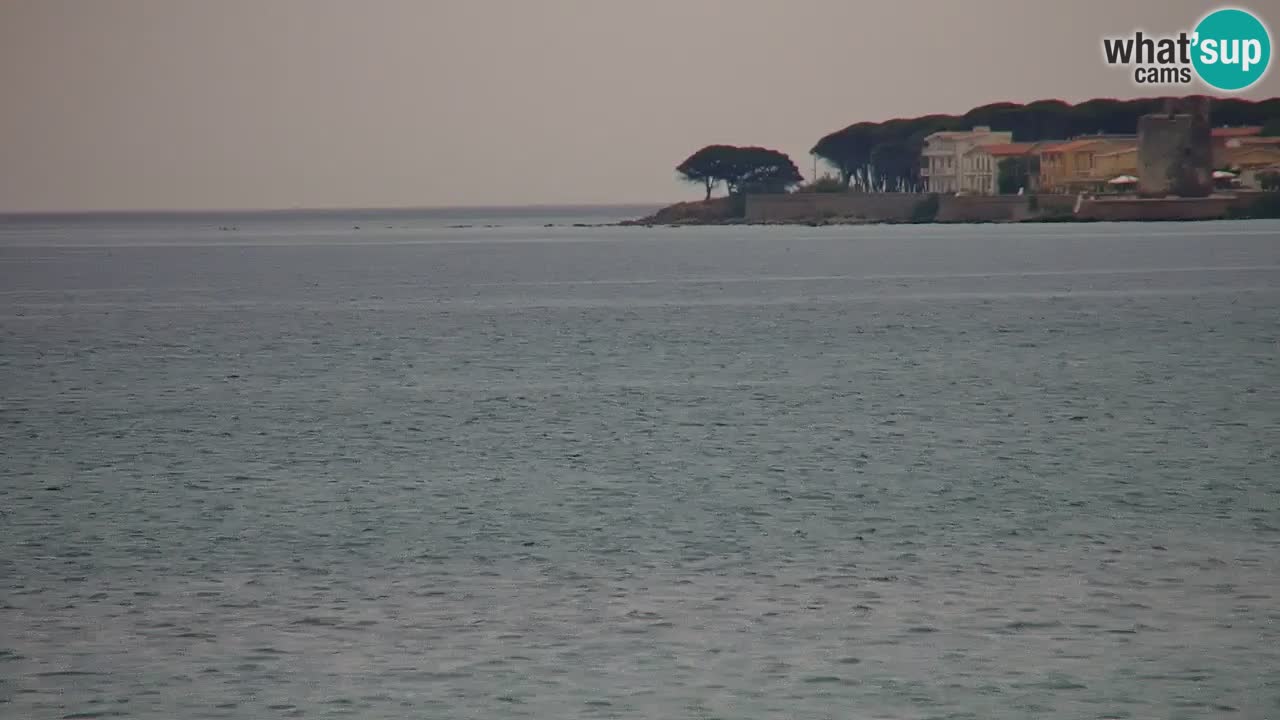Webcam en vivo Playa La Caletta – Budoni – Cerdeña – Italia