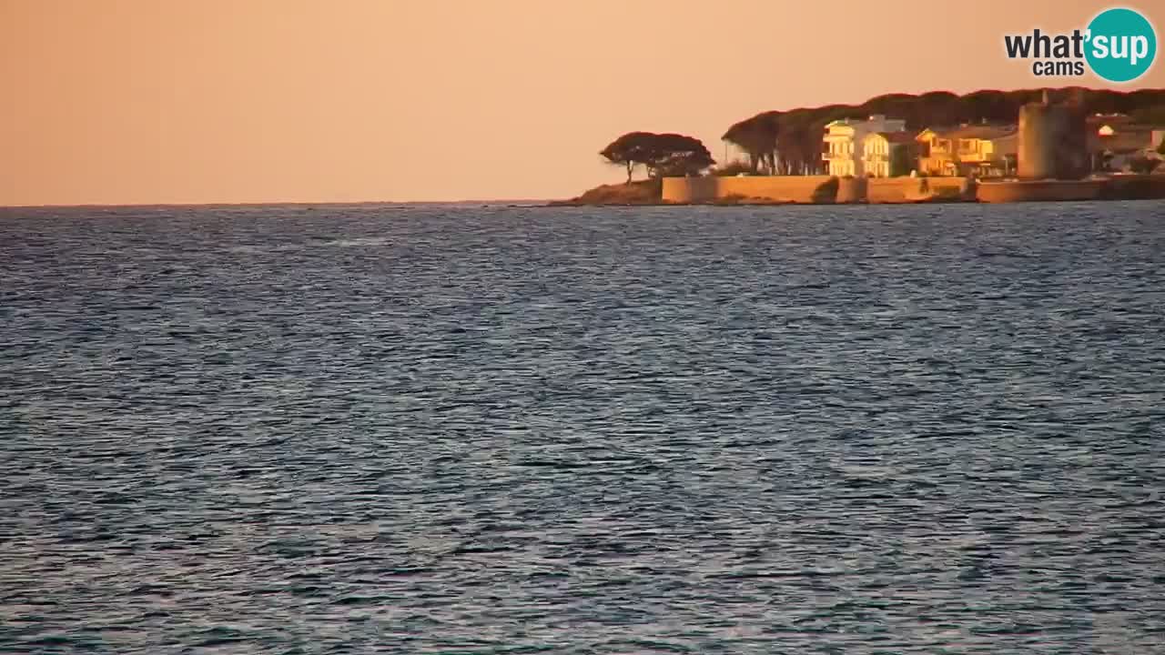 Webcam en vivo Playa La Caletta – Budoni – Cerdeña – Italia