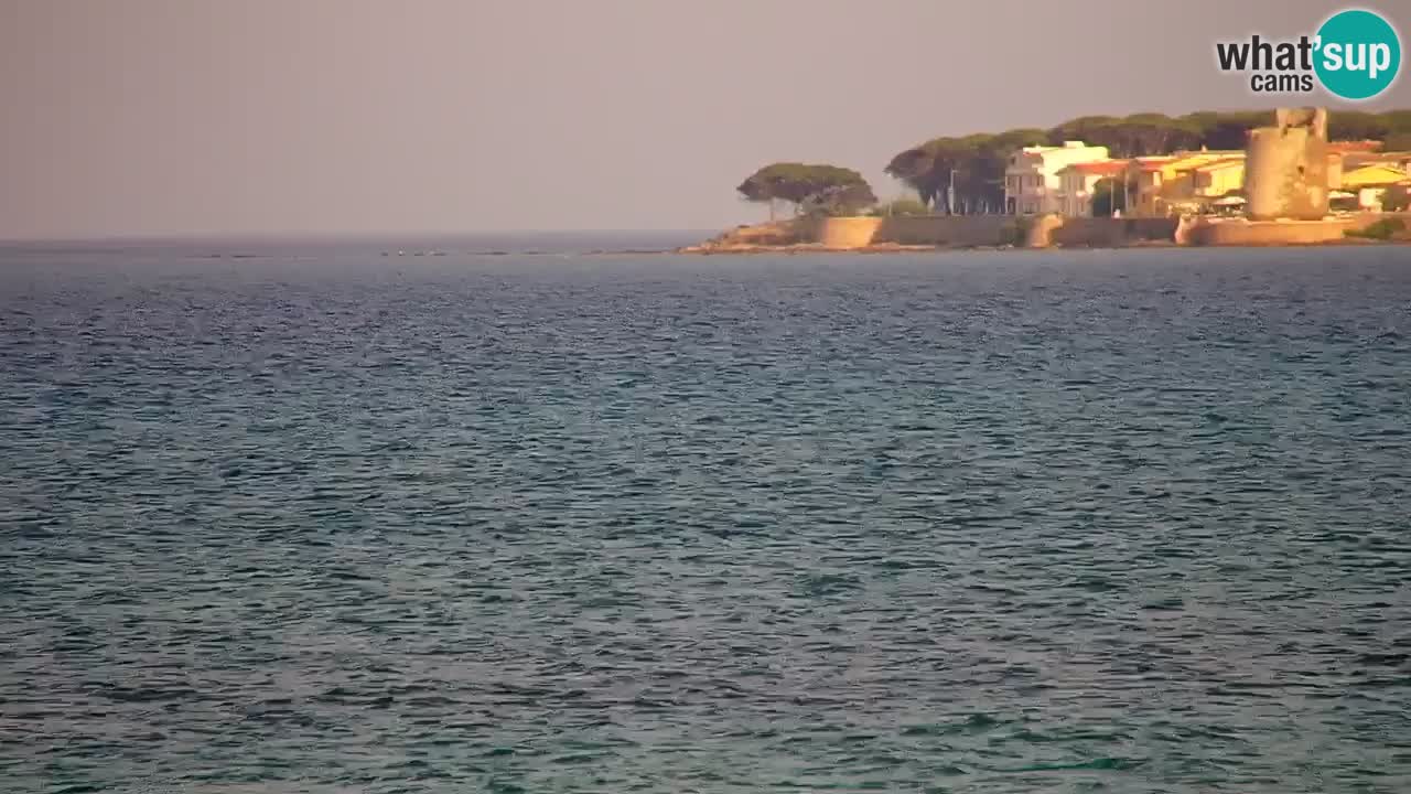 Webcam en vivo Playa La Caletta – Budoni – Cerdeña – Italia
