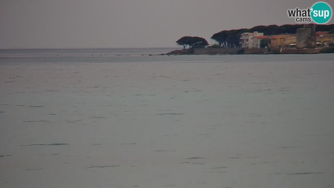 Webcam en direct Plage de La Caletta – Budoni – Sardaigne – Italie