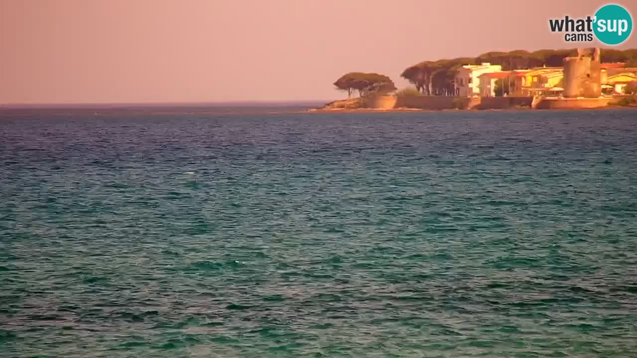 Webcam en vivo Playa La Caletta – Budoni – Cerdeña – Italia