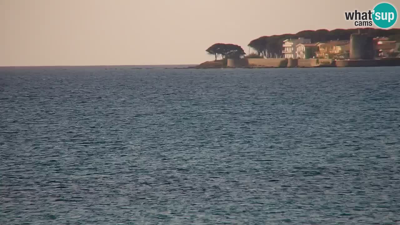 Webcam en vivo Playa La Caletta – Budoni – Cerdeña – Italia