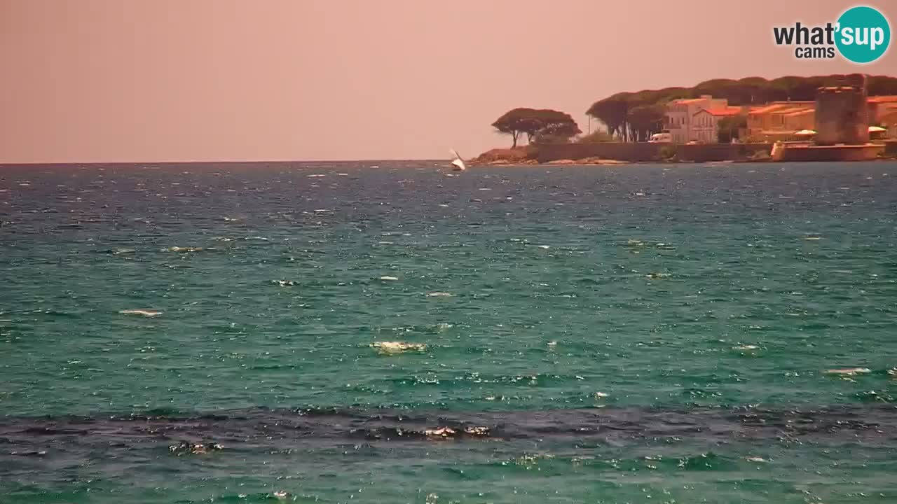 Webcam en direct Plage de La Caletta – Budoni – Sardaigne – Italie