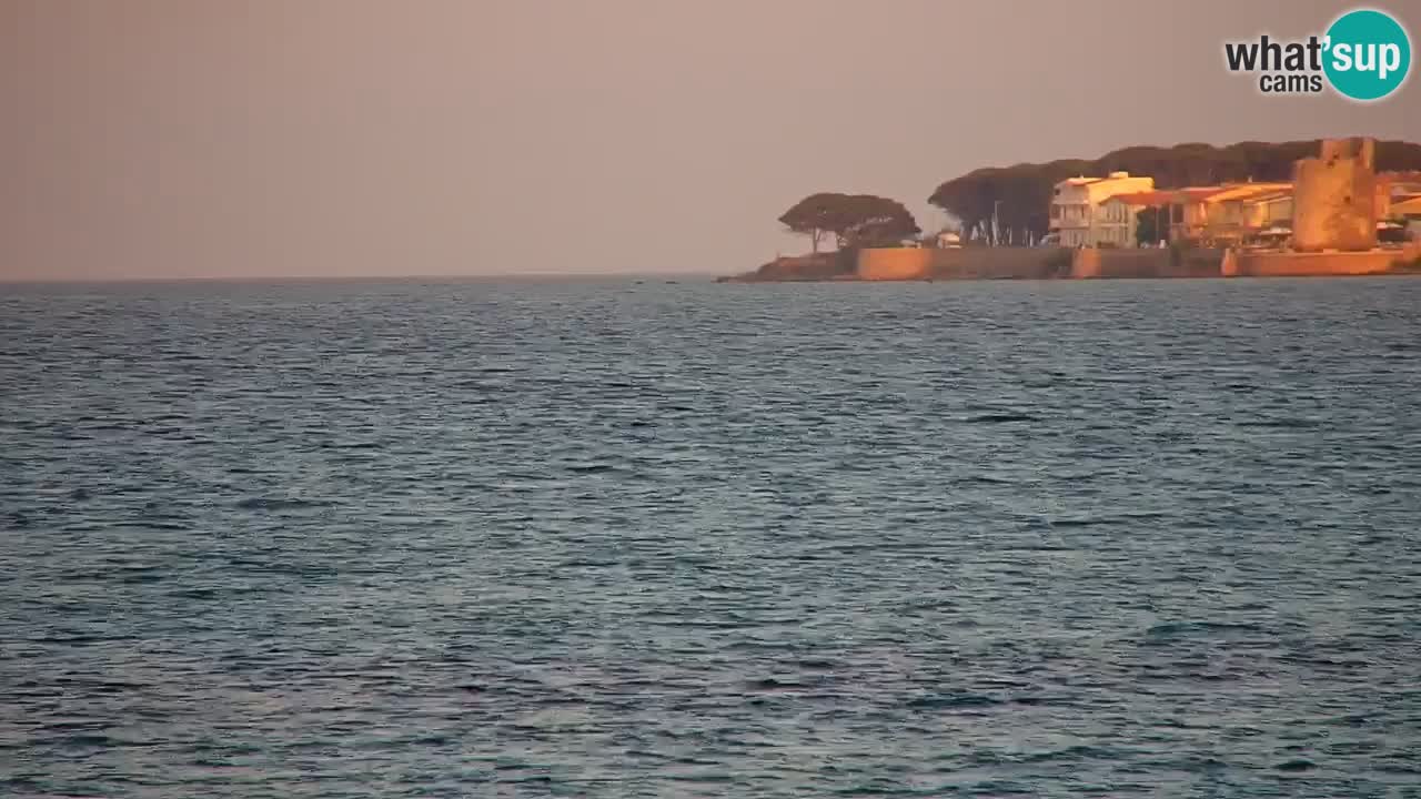 Live webcam La Caletta beach – Budoni – Sardinia – Italy