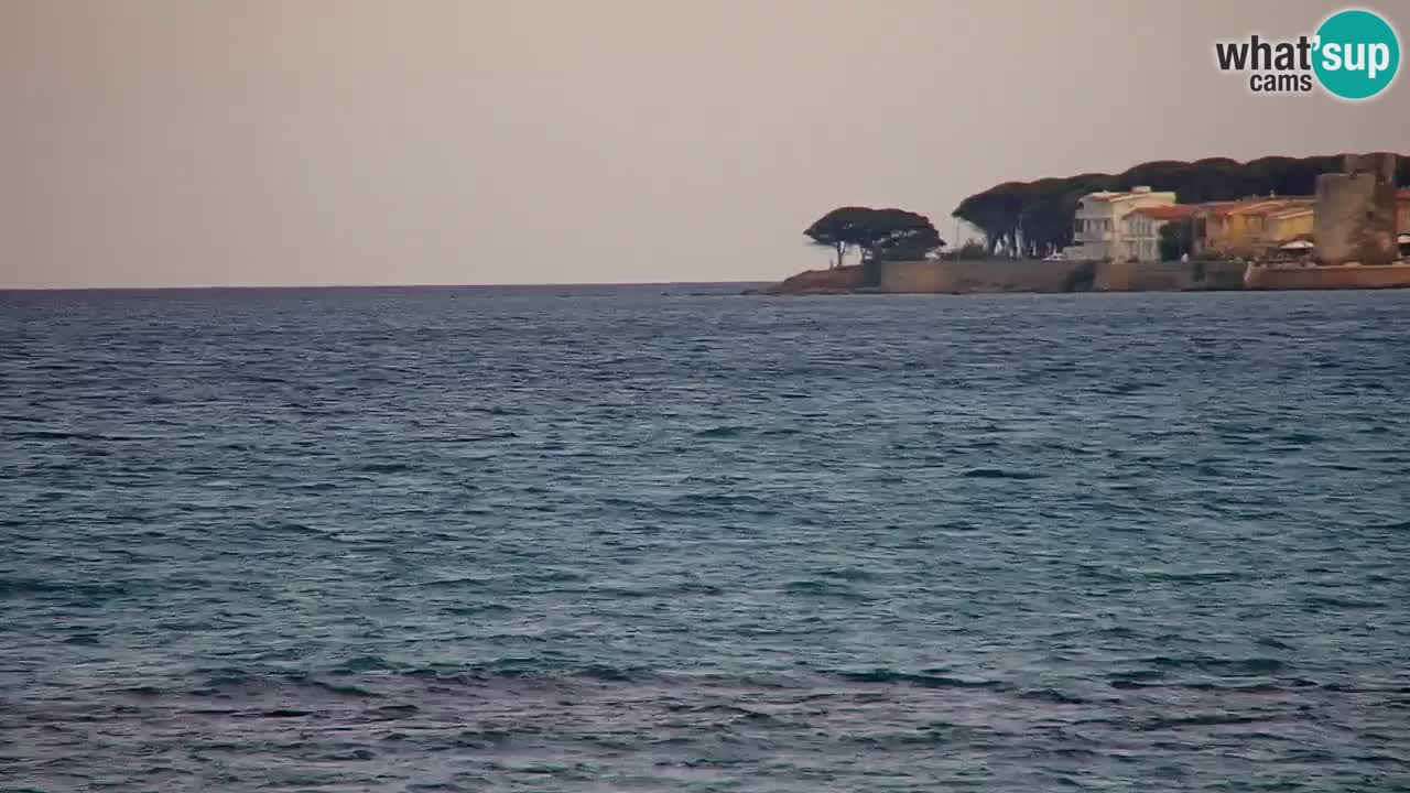 Webcam en direct Plage de La Caletta – Budoni – Sardaigne – Italie