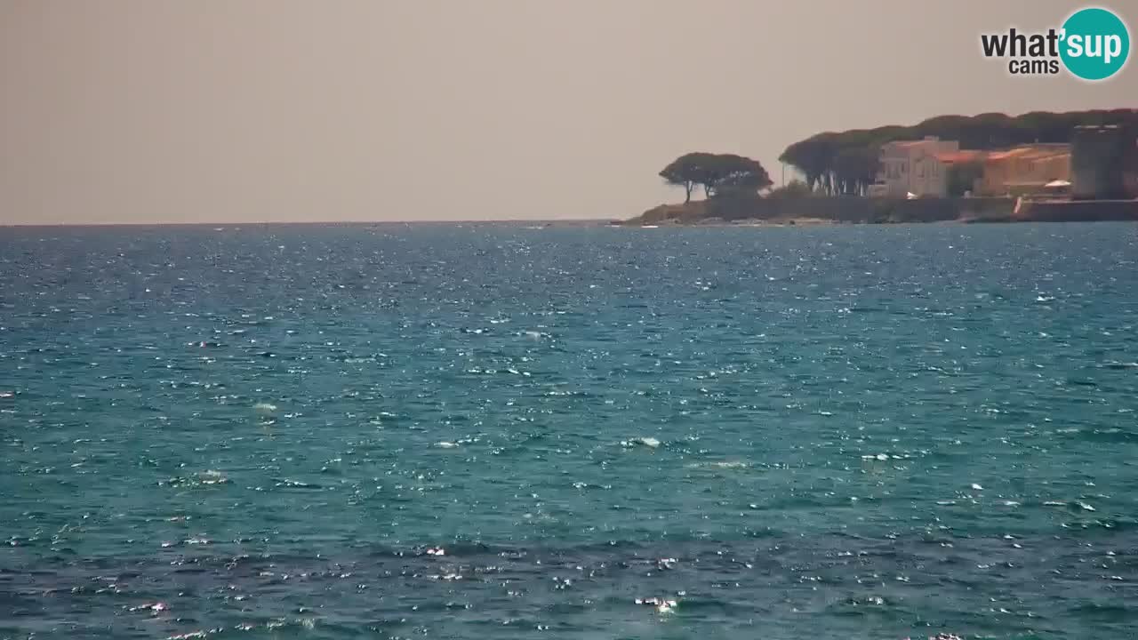 Webcam en vivo Playa La Caletta – Budoni – Cerdeña – Italia