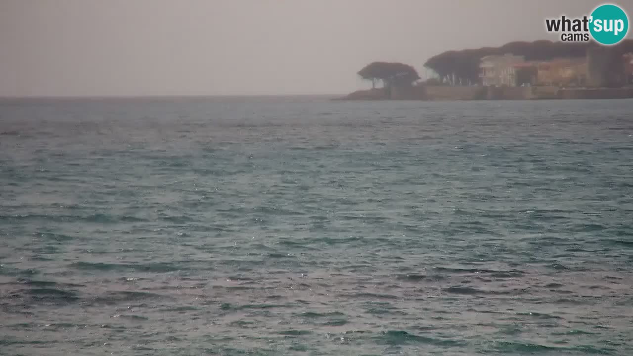 Webcam en direct Plage de La Caletta – Budoni – Sardaigne – Italie