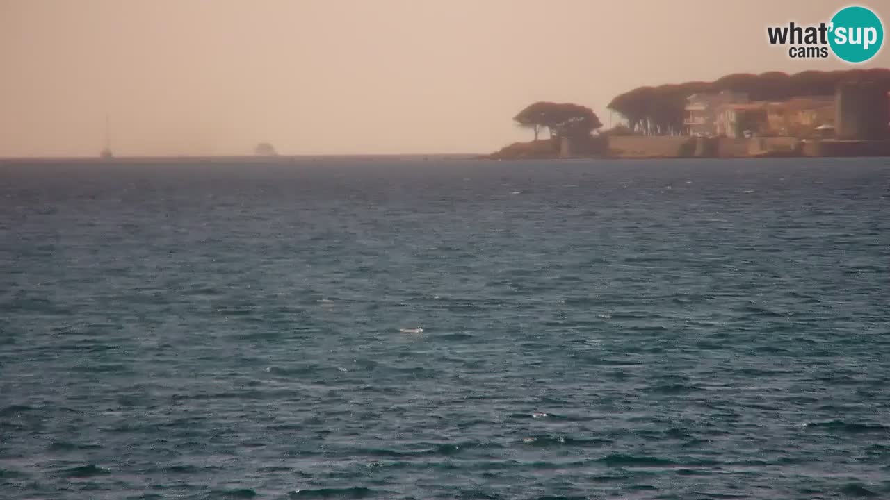 Live webcam La Caletta beach – Budoni – Sardinia – Italy