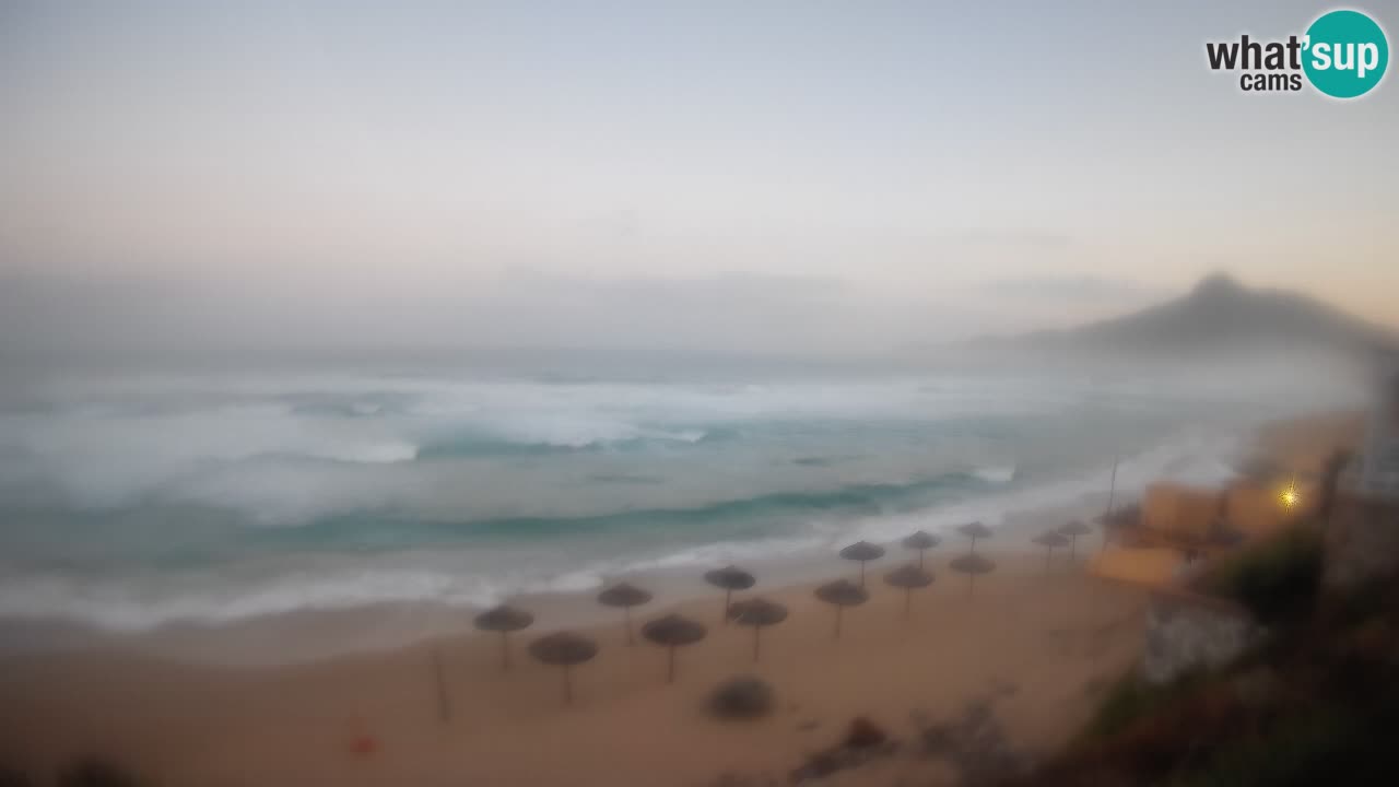 Spiaggia San Nicolò Buggerru webcam | Sardegna