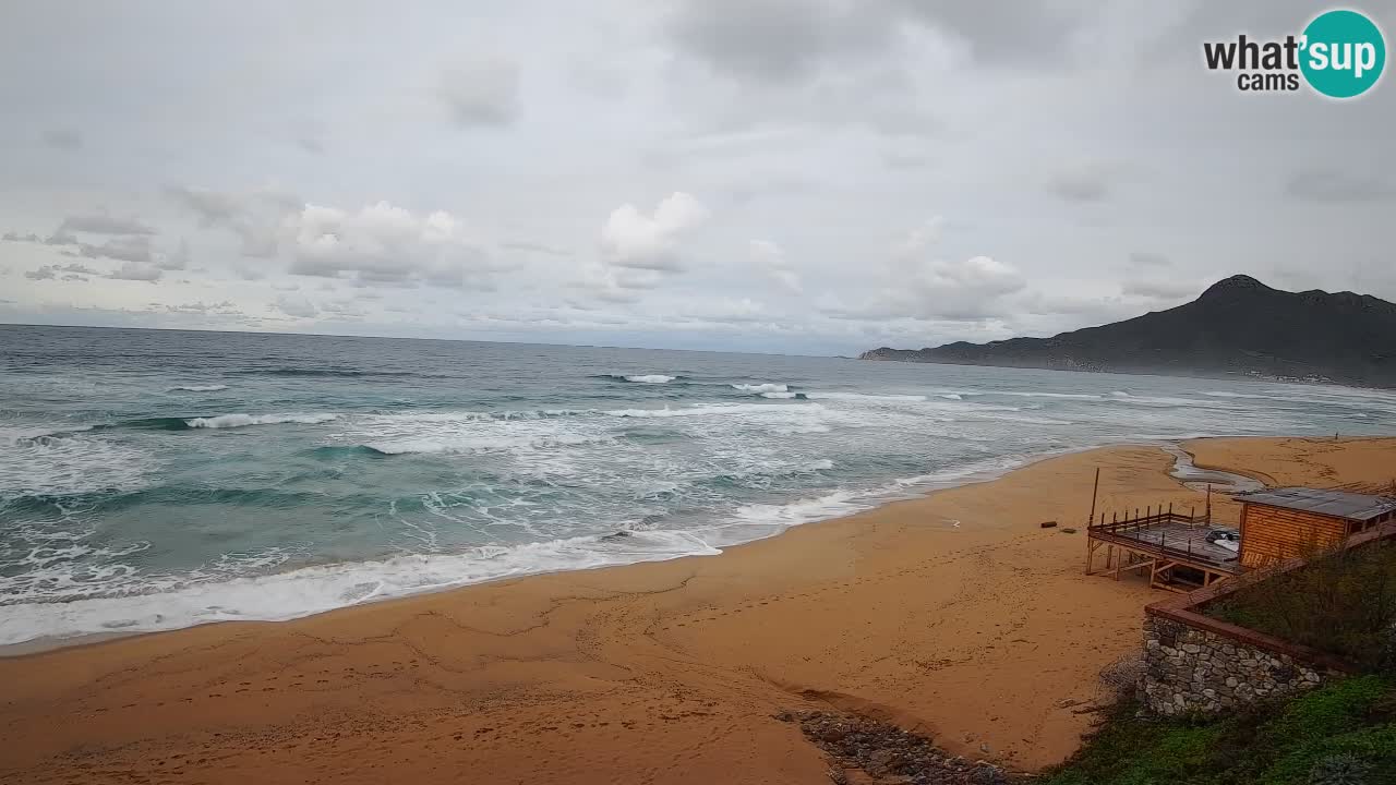 Spiaggia San Nicolò Buggerru webcam | Sardegna