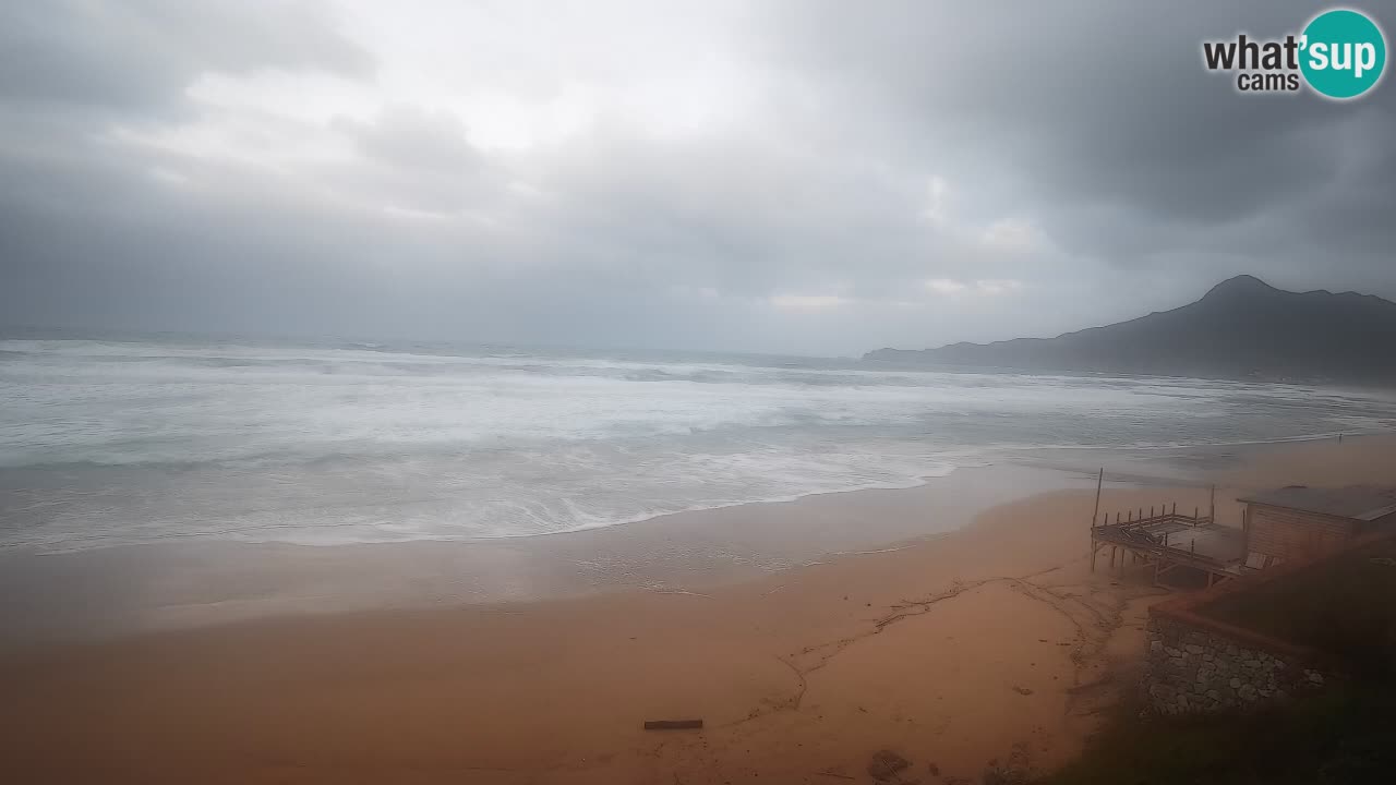 Spiaggia San Nicolò Buggerru webcam | Sardegna