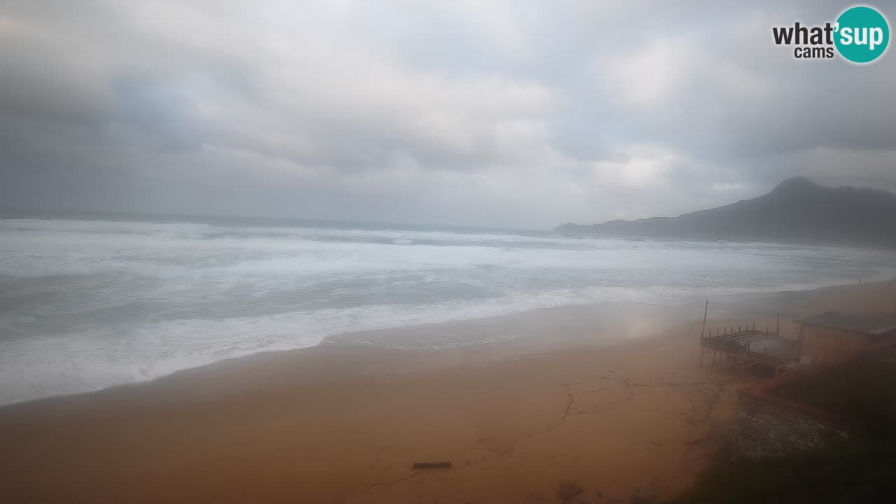Spiaggia San Nicolò Buggerru webcam | Sardegna