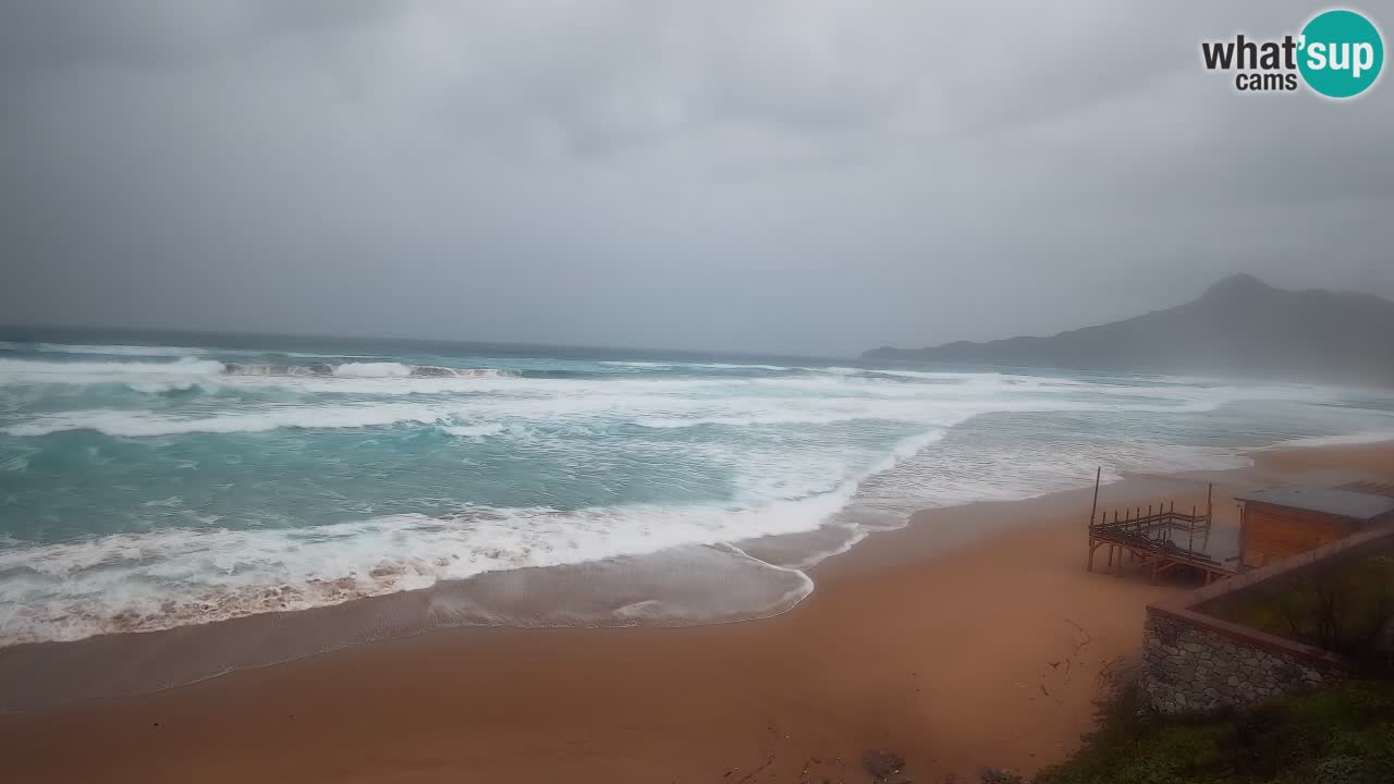 Spiaggia San Nicolò Buggerru webcam | Sardegna
