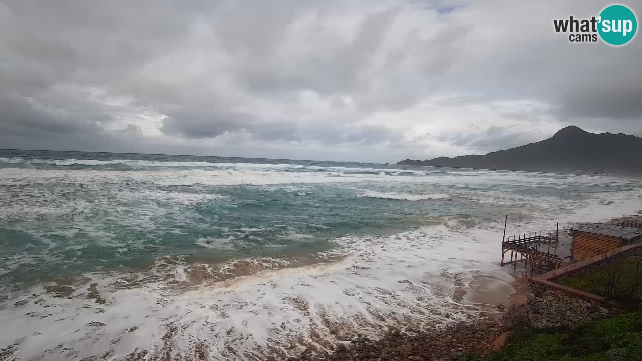 Webcam Cerdeña | Buggerru Playa San Nicolò