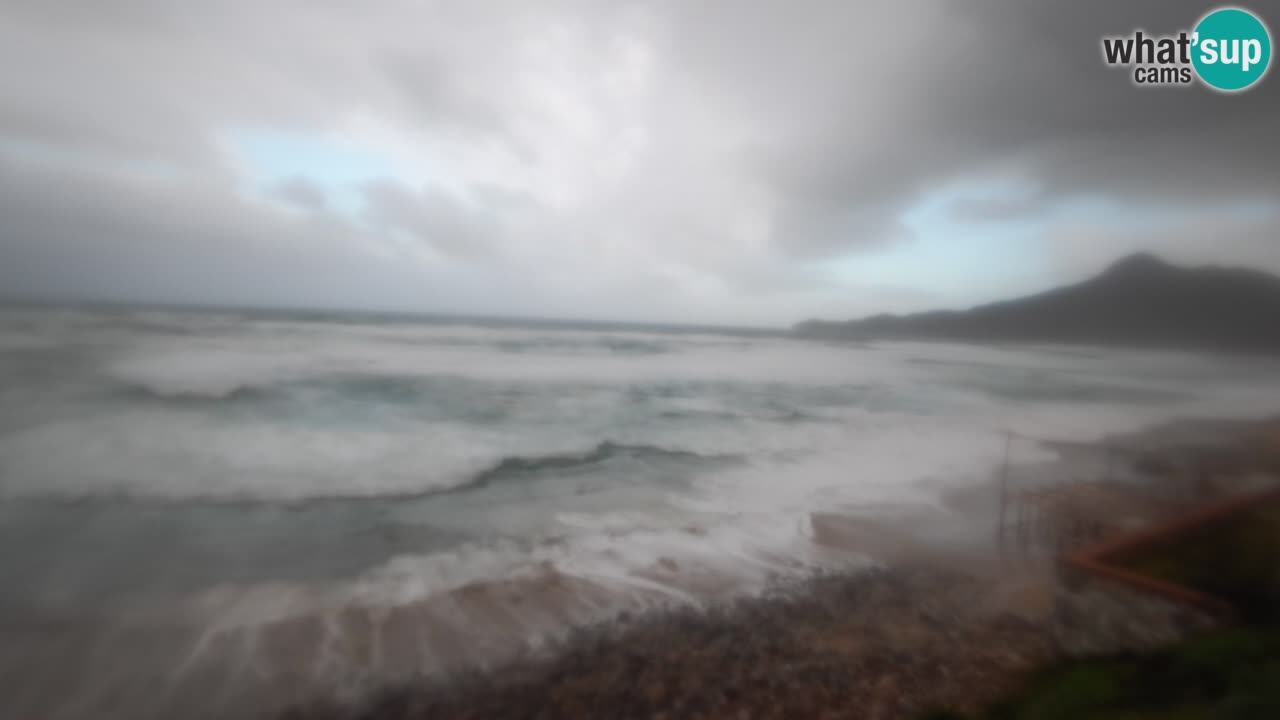Spiaggia San Nicolò Buggerru webcam | Sardegna