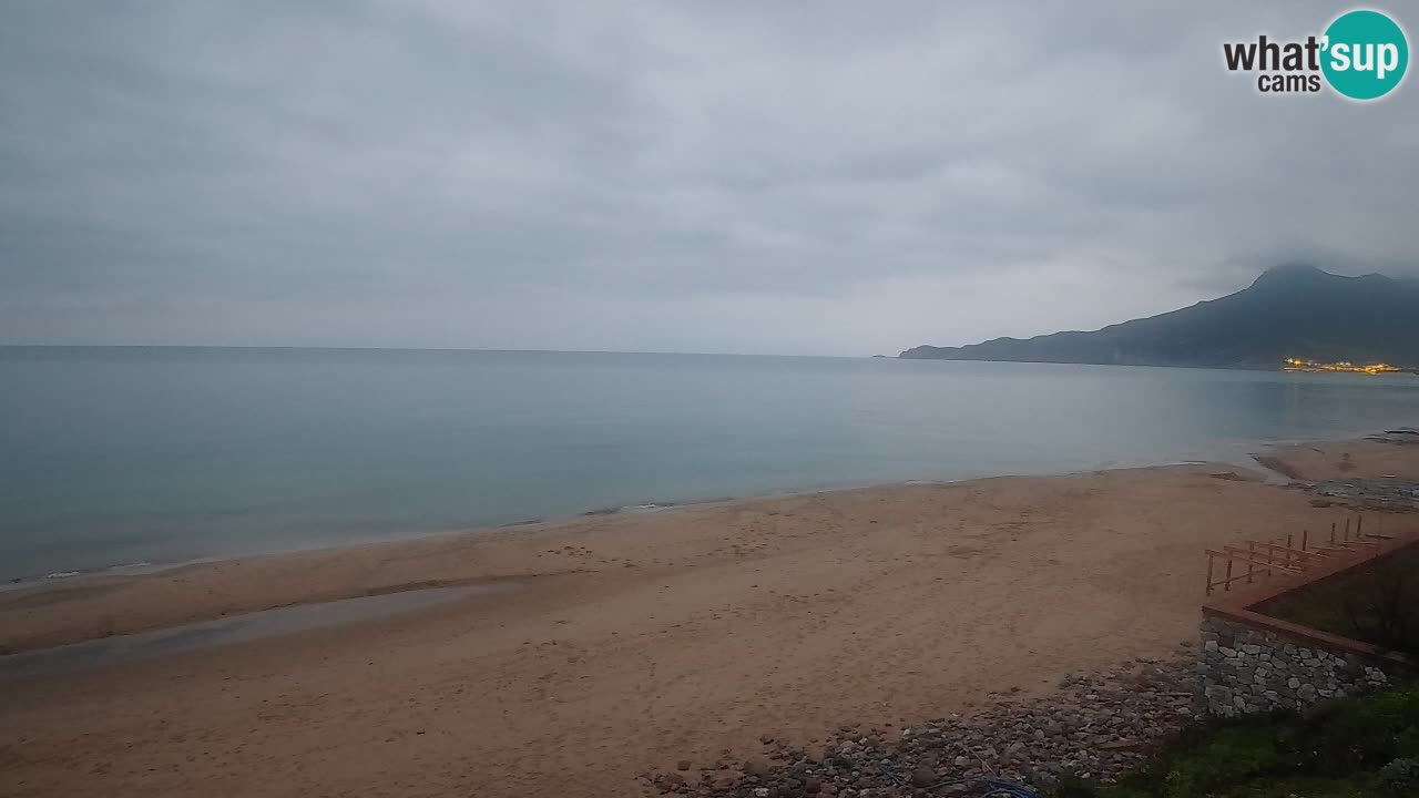Spiaggia San Nicolò Buggerru webcam | Sardegna
