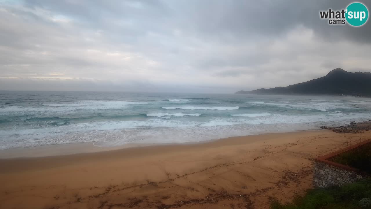 Spiaggia San Nicolò Buggerru webcam | Sardegna