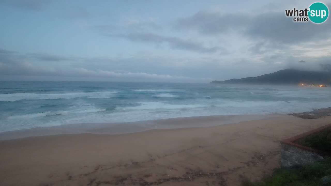 Spiaggia San Nicolò Buggerru webcam | Sardegna