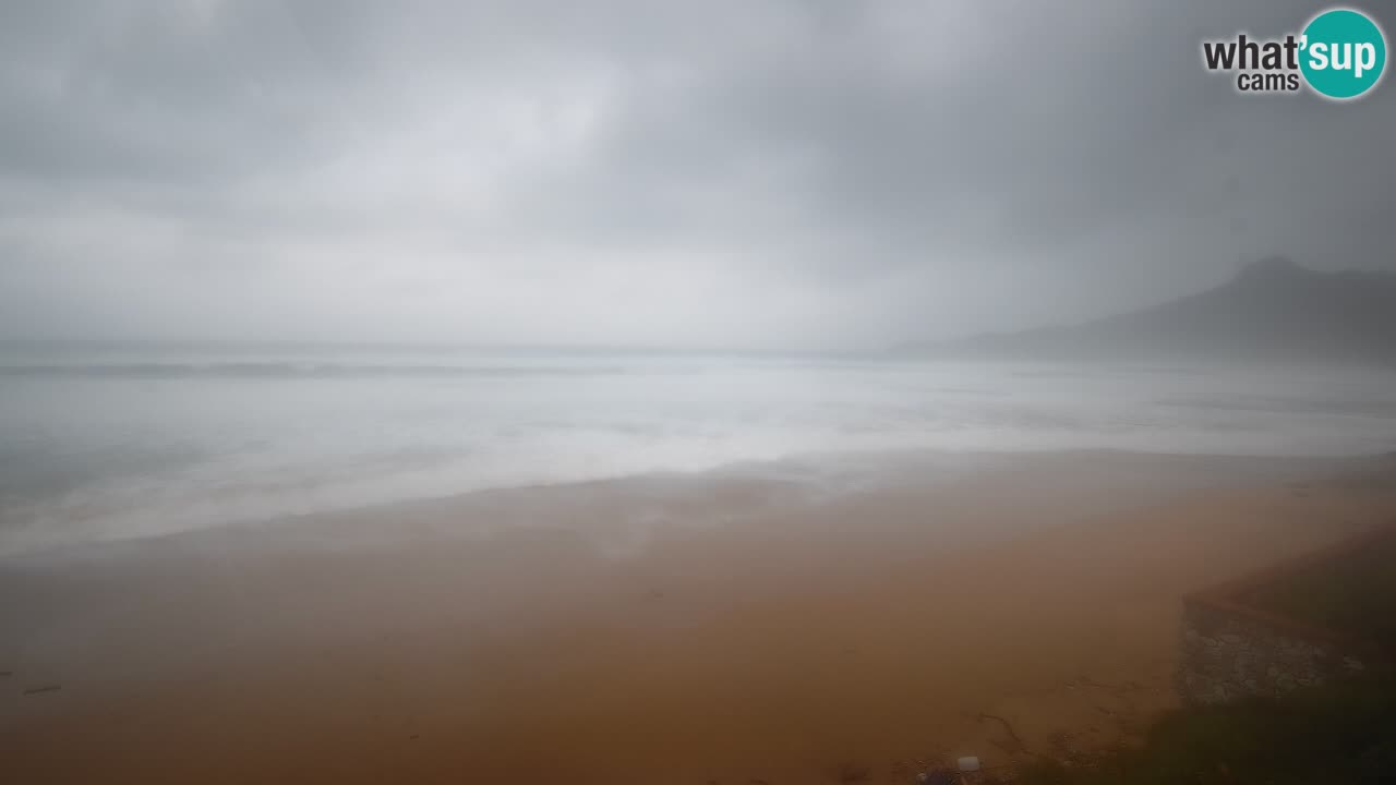 Spiaggia San Nicolò Buggerru webcam | Sardegna