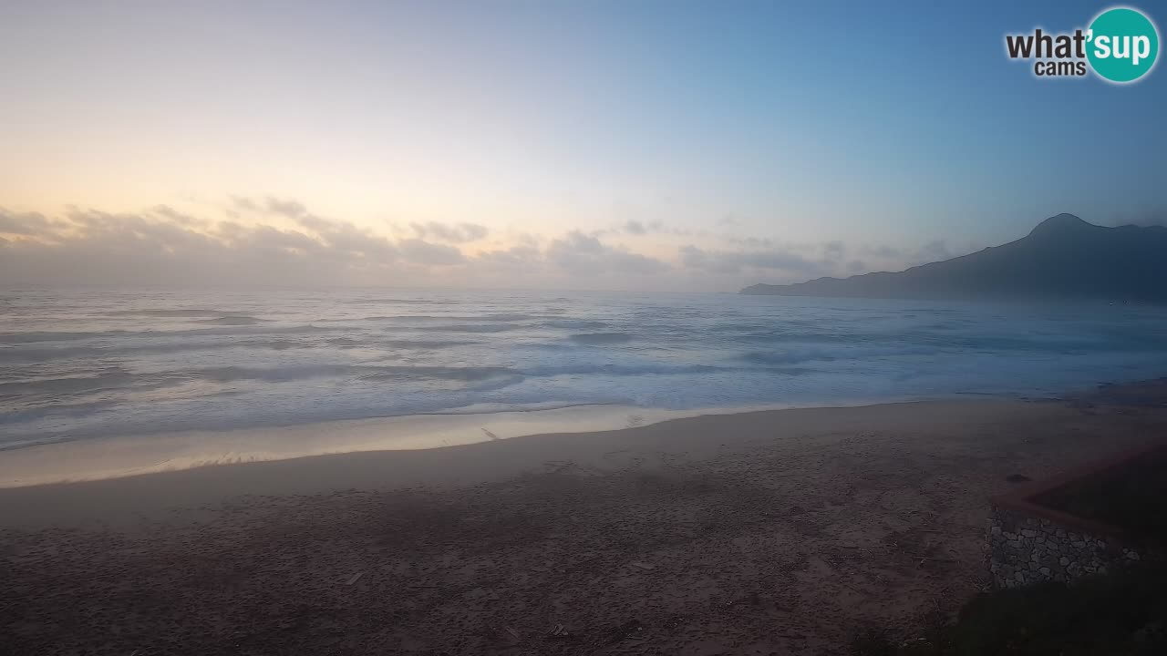 Spiaggia San Nicolò Buggerru webcam | Sardegna
