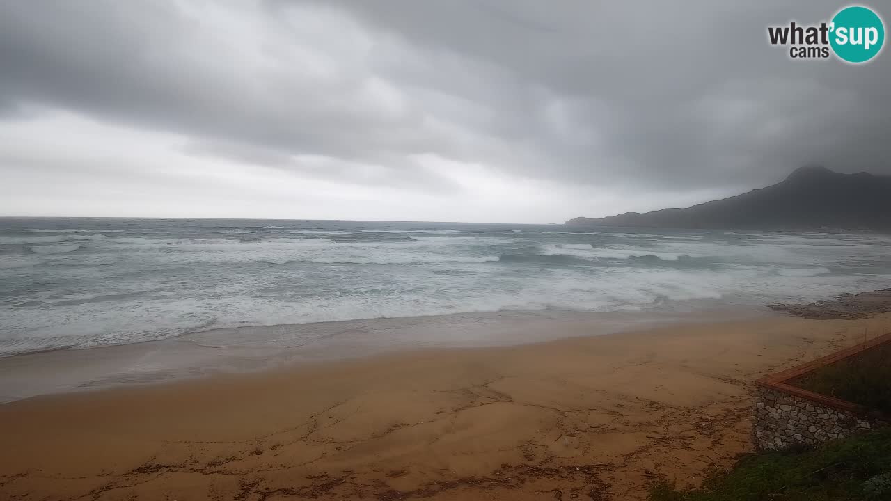 Spiaggia San Nicolò Buggerru webcam | Sardegna