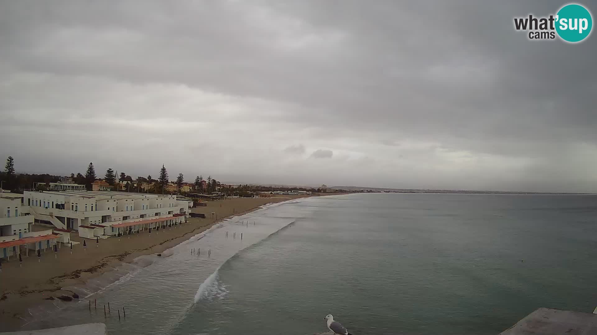 Camera en vivo Golfo de Cagliari – Playa del Poetto – Cerdeña