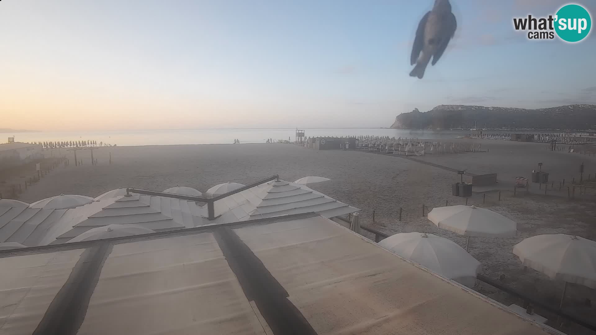 Poetto beach webcam | Cagliari | Sardinija