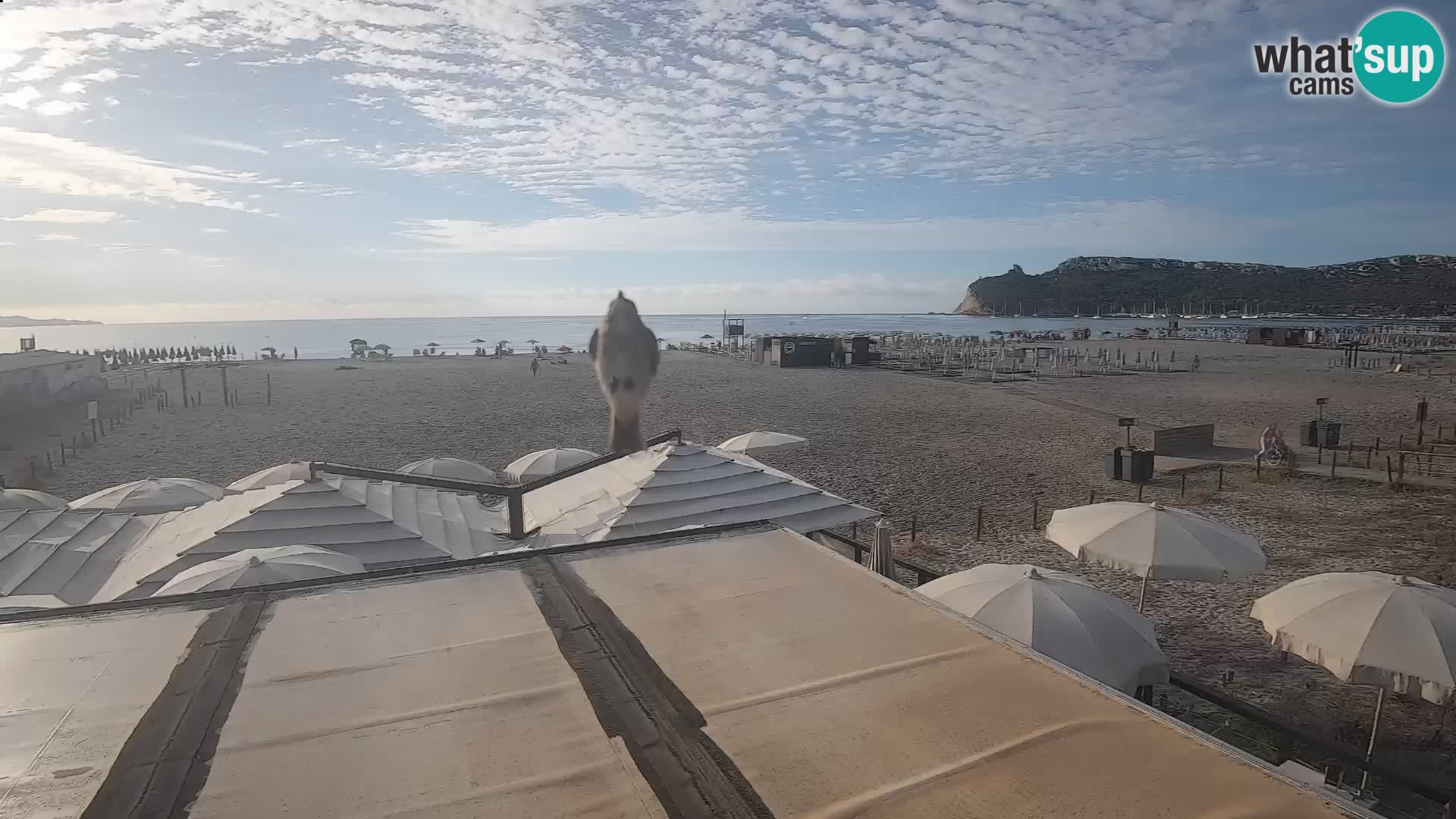 Poetto Strand Webcam | Cagliari | Sardinien