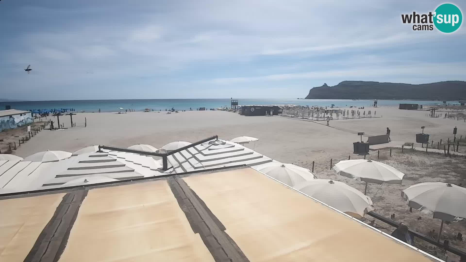 Poetto beach webcam | Cagliari | Sardinija