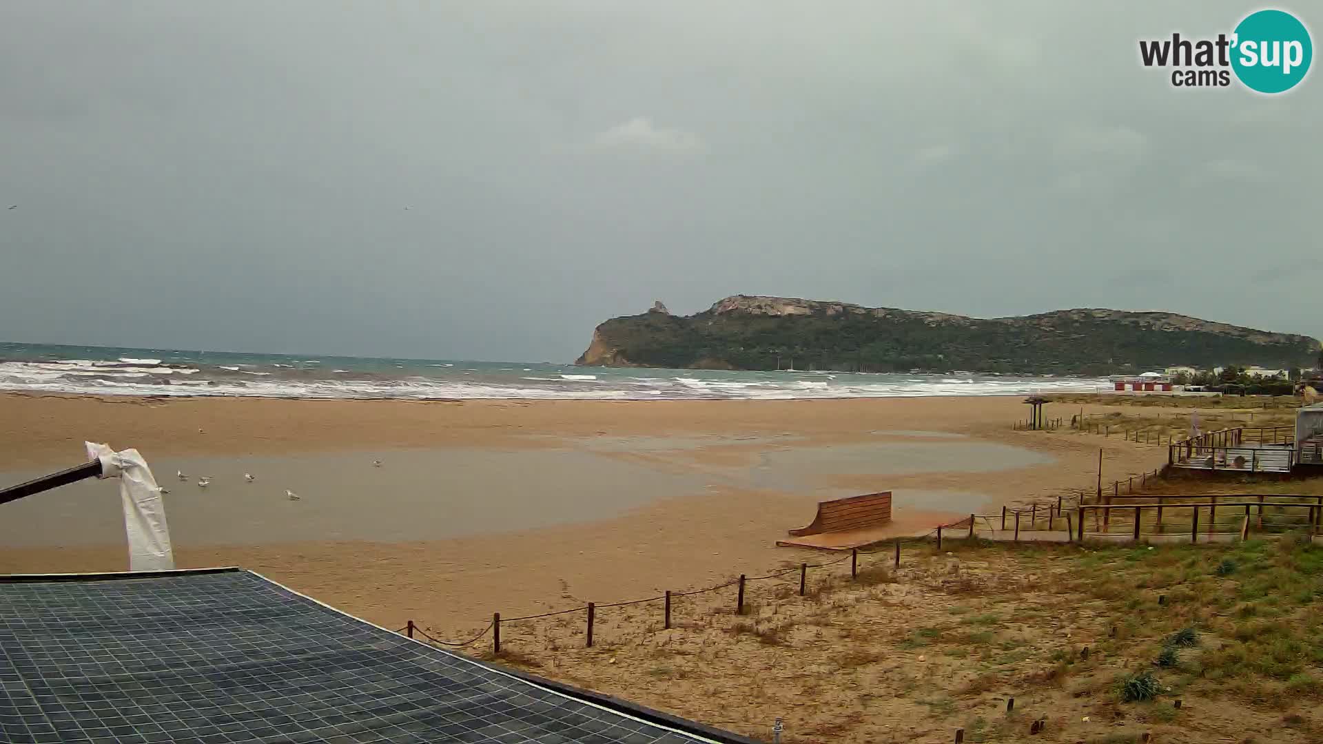 Poetto beach webcam | Cagliari | Sardinia