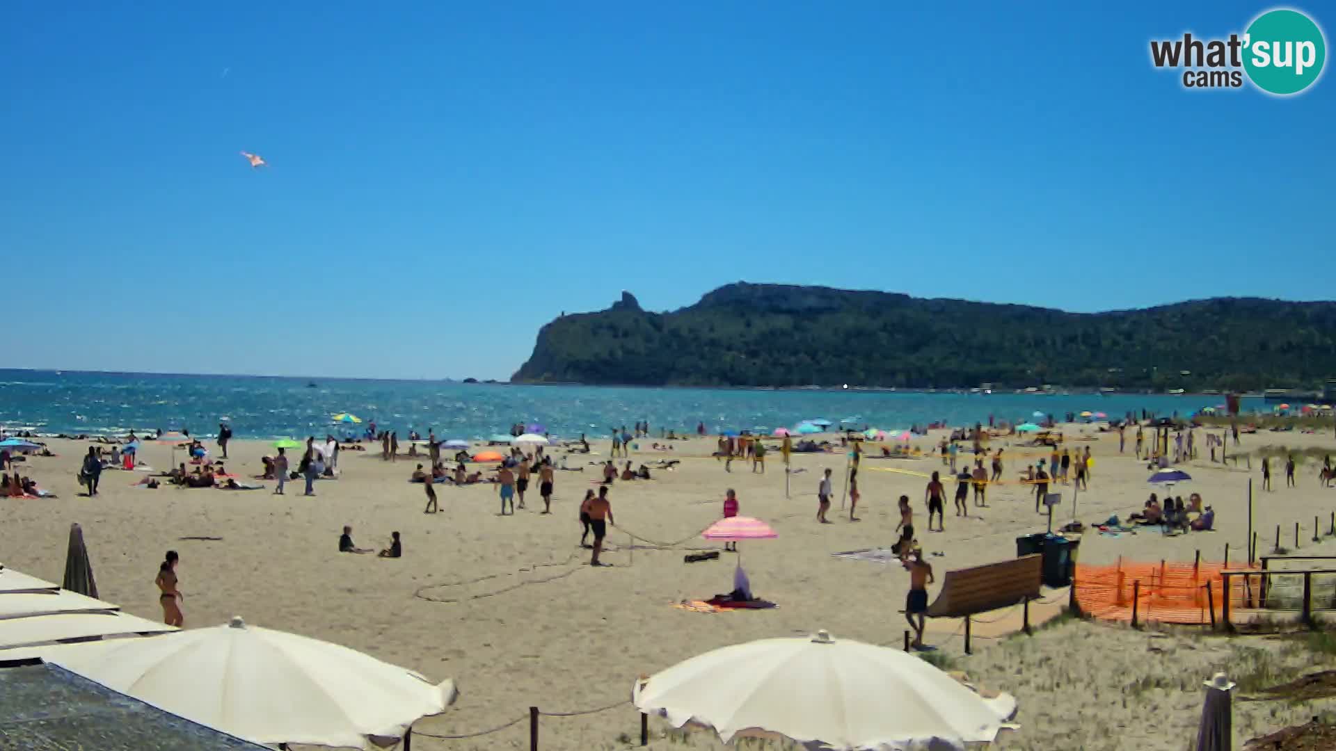 Poetto beach webcam | Cagliari | Sardinija