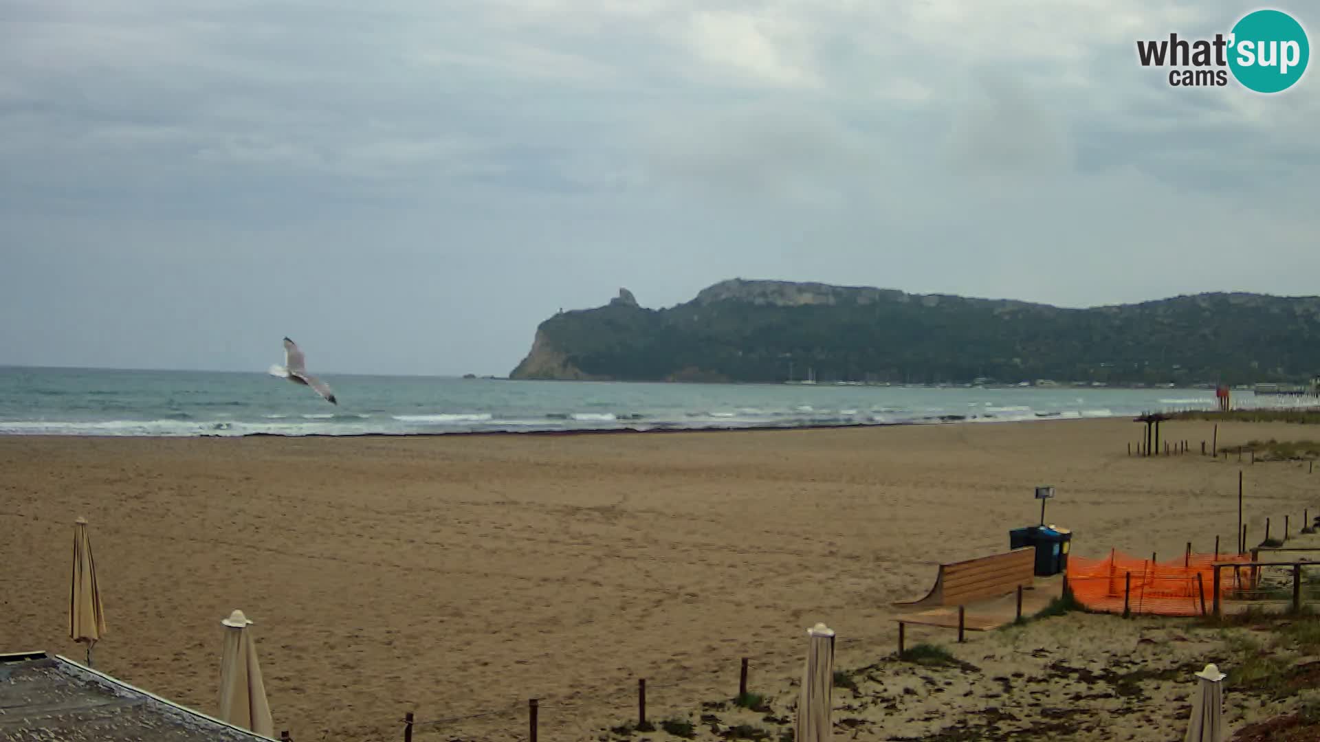 Poetto beach webcam | Cagliari | Sardinia