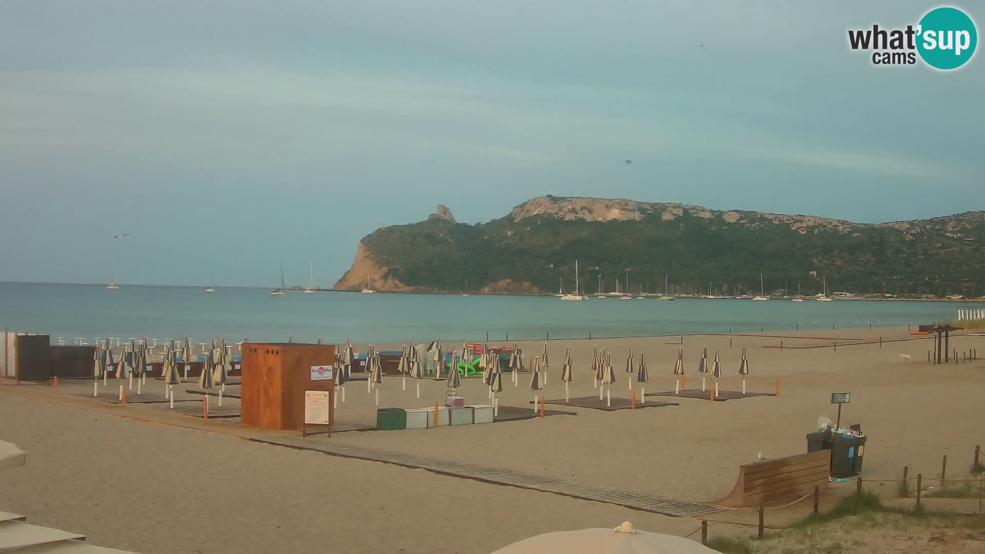 Poetto Strand Webcam | Cagliari | Sardinien