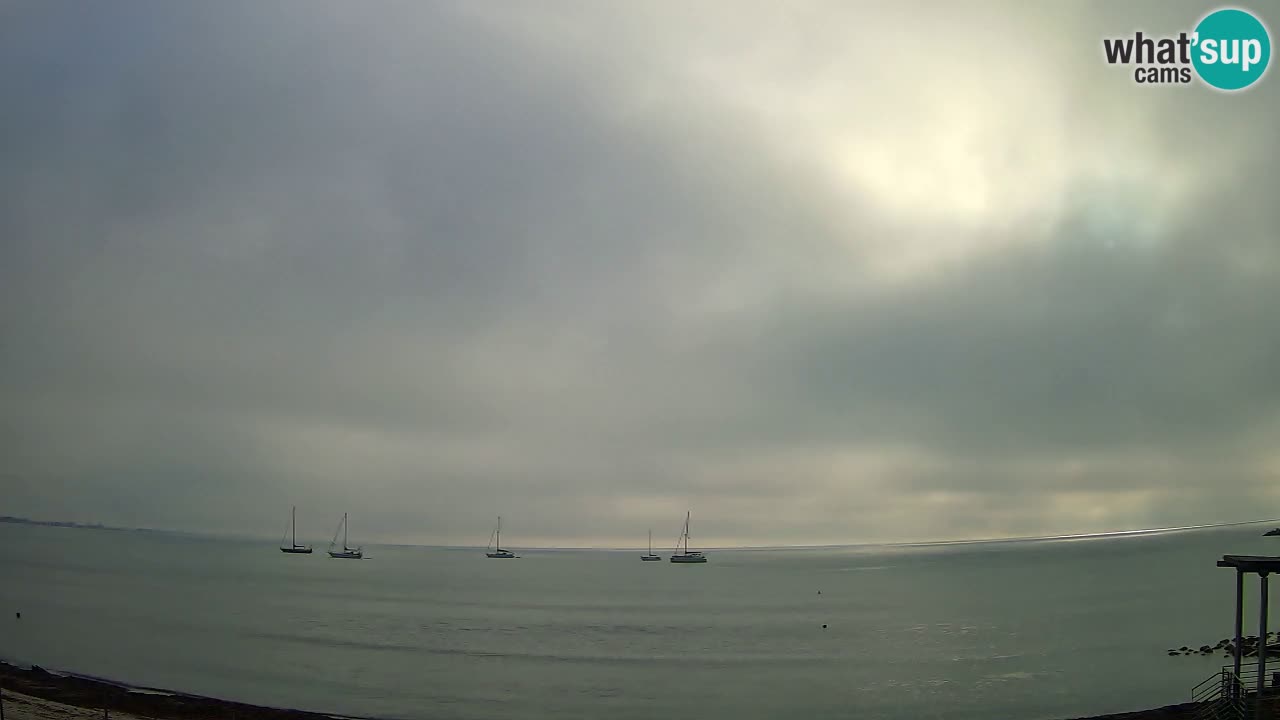 Webcam Cagliari Windsurf Club – Liveblick vom Poetto Strand